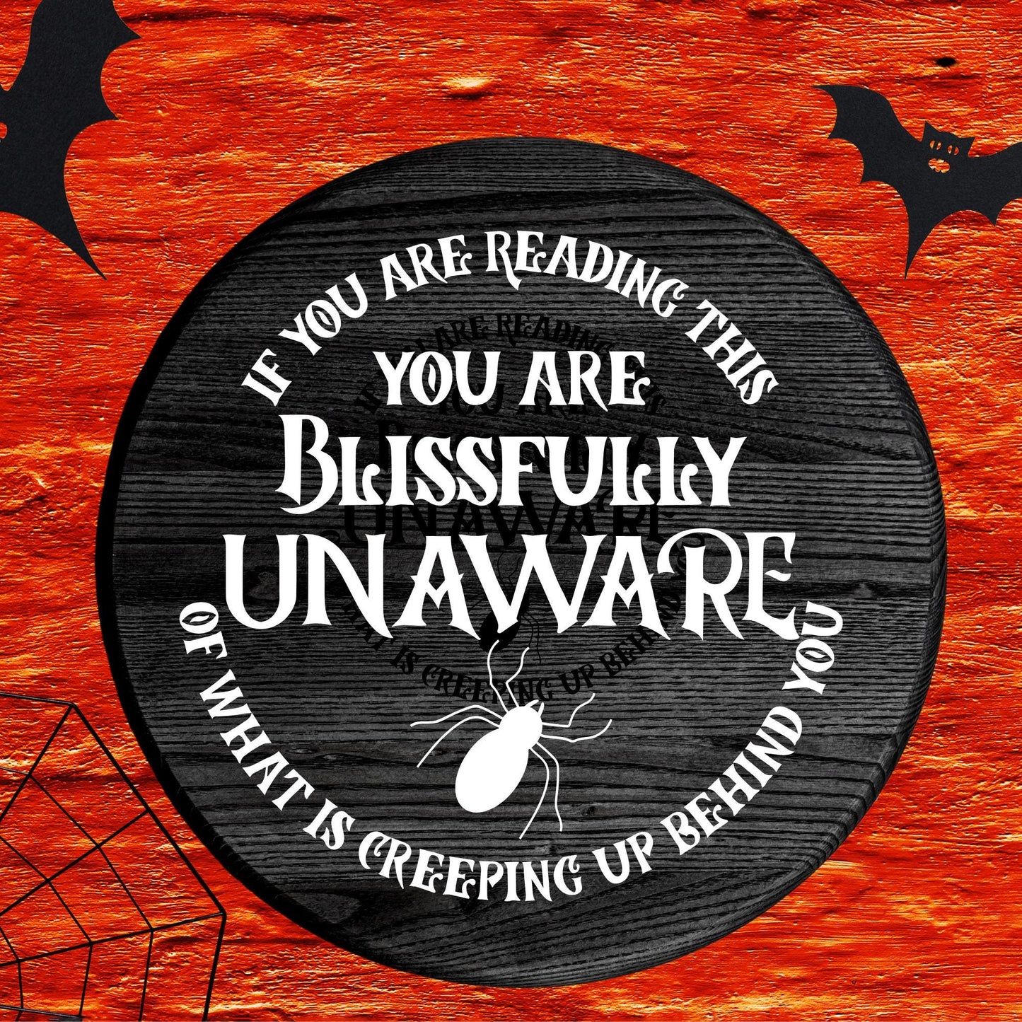 Halloween 'If You Are Reading This' Scary Spider Decal